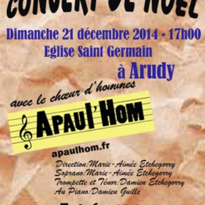 Affiche du concert de Noel Arudy 2014